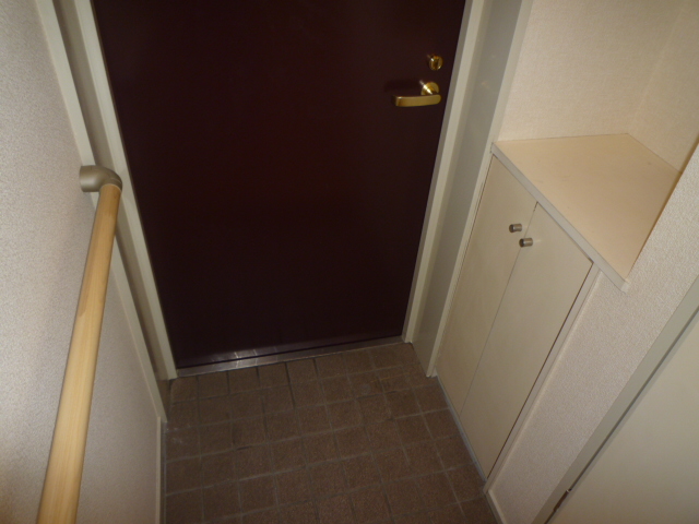 Entrance. Shoes with BOX