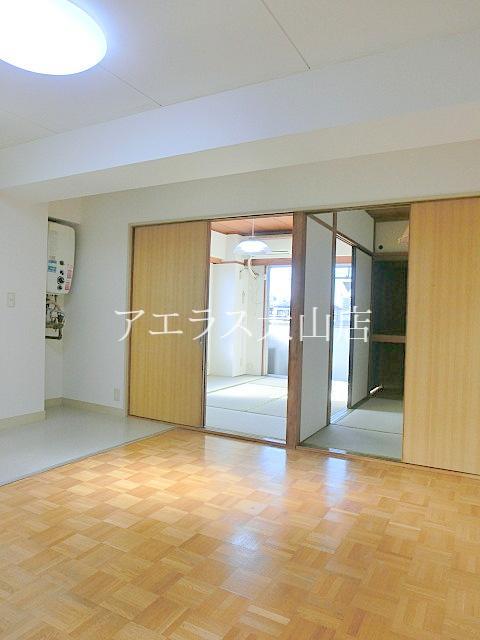 Living and room. Living room