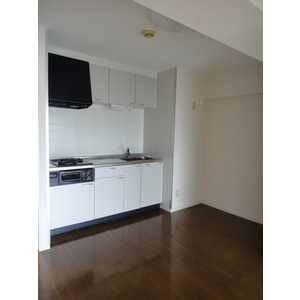 Kitchen. dining kitchen