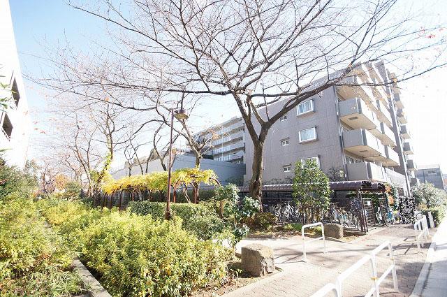 Local appearance photo. Local (12 May 2013) Shooting