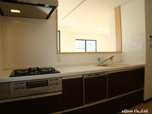 Kitchen. Indoor (12 May 2013) Shooting