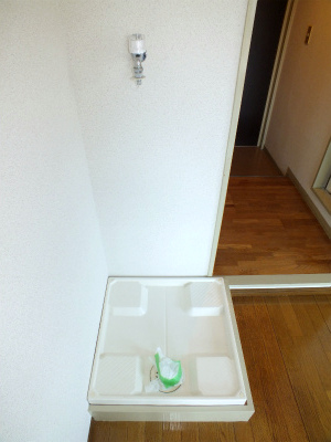 Other room space. Laundry Area