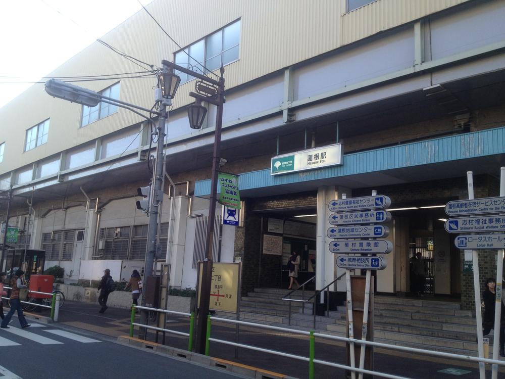 Other. The nearest "lotus root" station photo