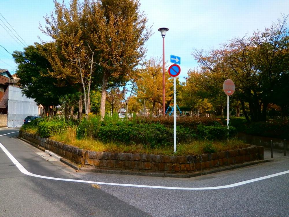 Local appearance photo. local