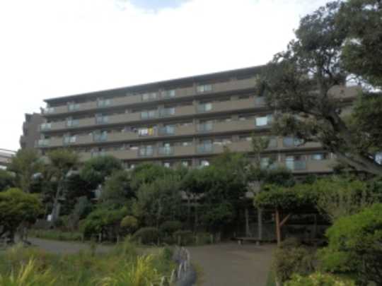 Local appearance photo. The Horikiri iris garden is located to the scenic backdrop.