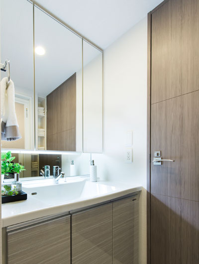 Bathing-wash room. Full of cleanliness nestled charming powder room