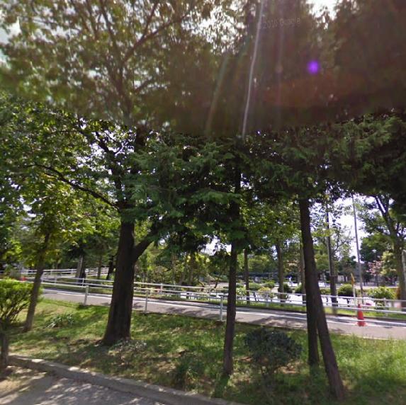 park. 290m to the upper Chiba Sunahara park (park)