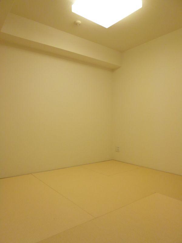 Non-living room. Interior photos of the most broad Western-style 6.5 Pledge