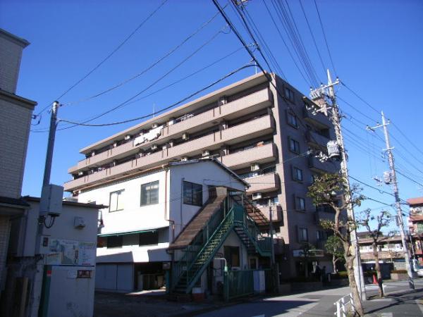 Katsushika-ku, Tokyo swan 2