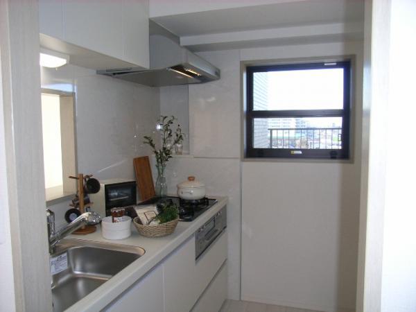 Katsushika-ku, Tokyo swan 2