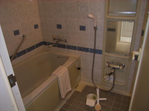 Katsushika-ku, Tokyo swan 2