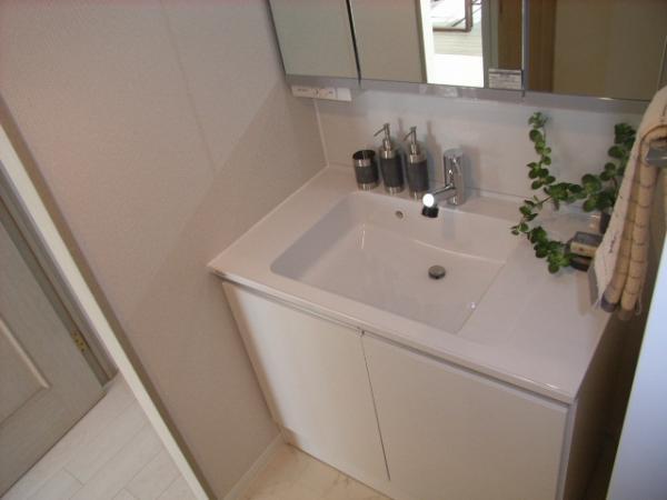 Katsushika-ku, Tokyo swan 2