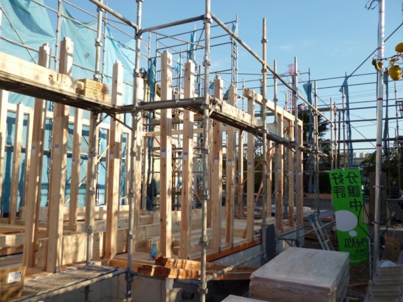 Local photos, including front road. Local (11 May 2013) Shooting