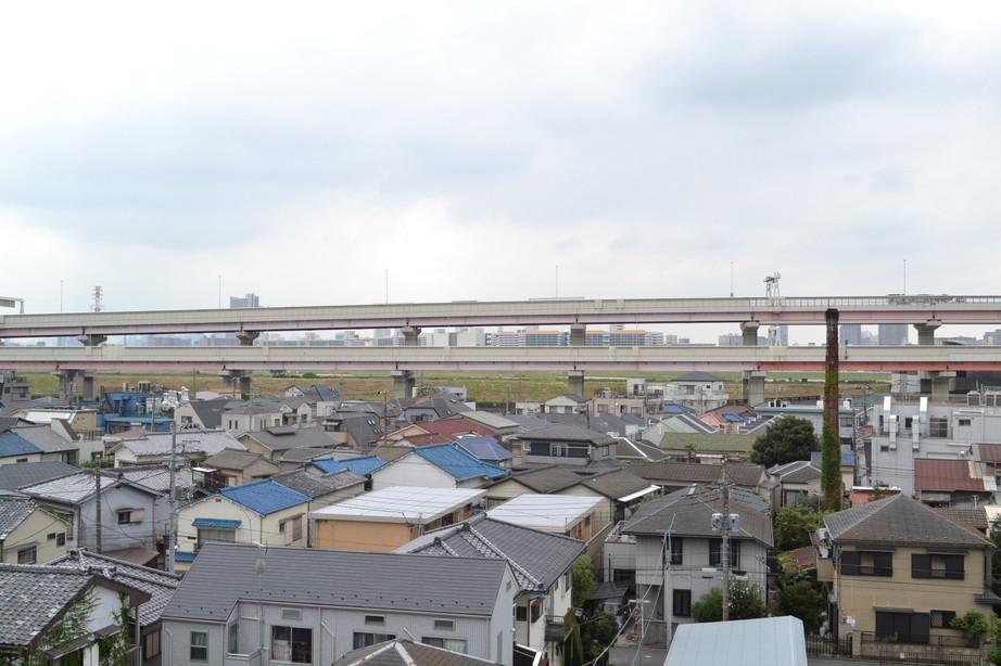 View photos from the dwelling unit. Southwest side landscape