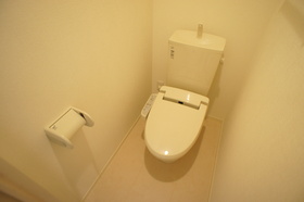 Toilet. Cleaning function toilet seat