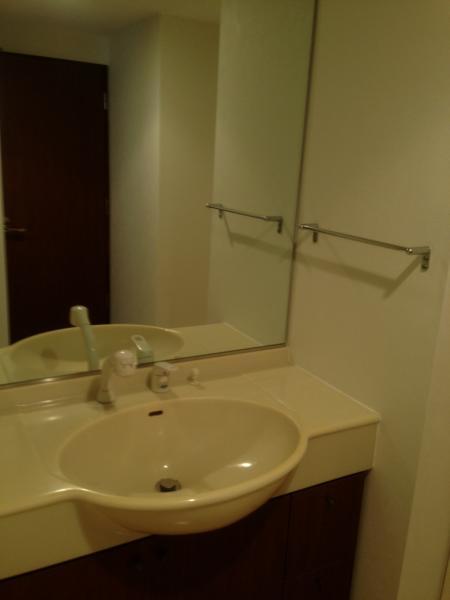 Wash basin, toilet. bathroom / December 2013 shooting