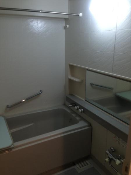 Bathroom. bathroom / December 2013 shooting