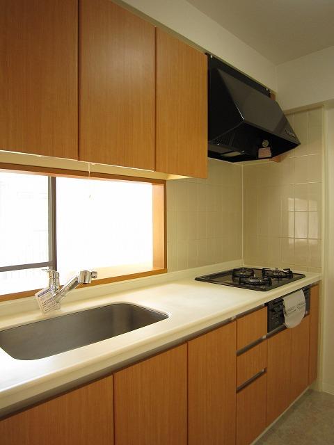 Kitchen. Indoor (11 May 2013) Shooting