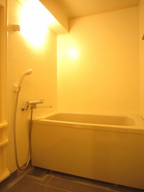 Bathroom. Indoor (11 May 2013) Shooting