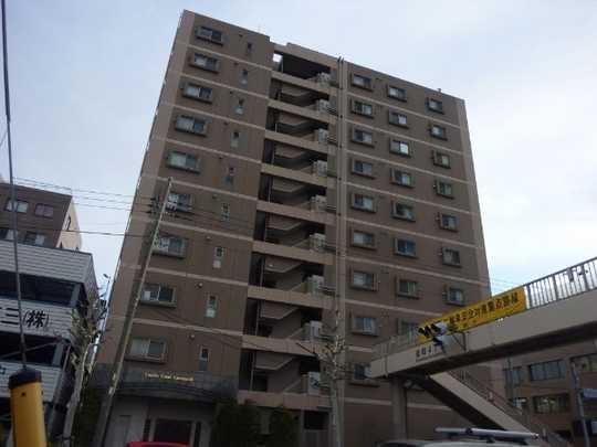 Local appearance photo. Mansion appearance (1)