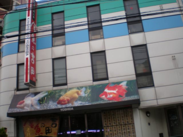 Shopping centre. Chotaro Kinpara 600m to shops (shopping center)