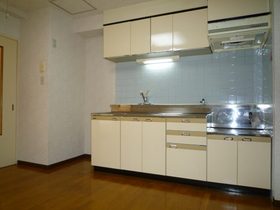Kitchen. Reference photograph Two-burner gas stove installation Allowed Kitchen ☆ Storage is also generous, Cooking scan