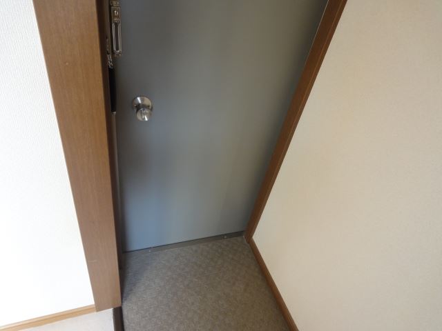 Entrance. Entrance door