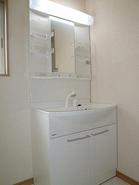 Wash basin, toilet. Bathroom vanity