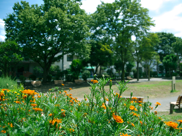 Surrounding environment. Ohanajaya park (about 710m ・ A 9-minute walk)