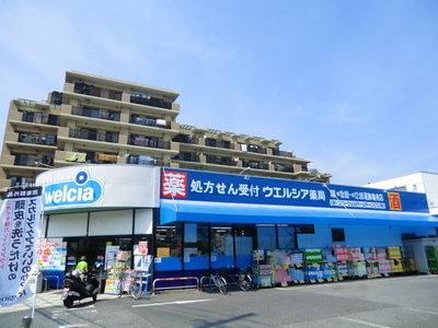 Dorakkusutoa. Werushia 240m until (drugstore)