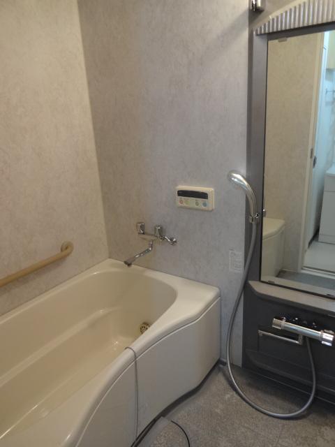 Bathroom. Room (August 2013) Shooting