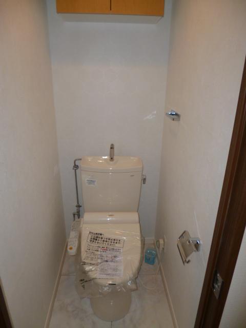 Toilet. Shower toilet