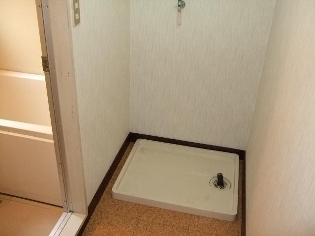 Other room space. Laundry Area