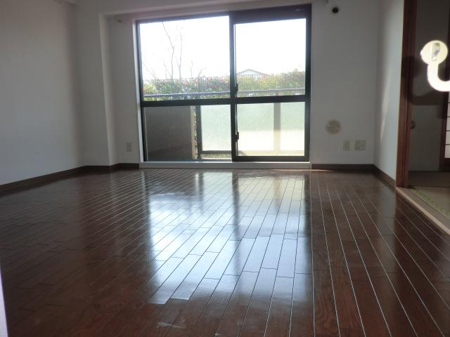 Living. Light of the sun also contains enough