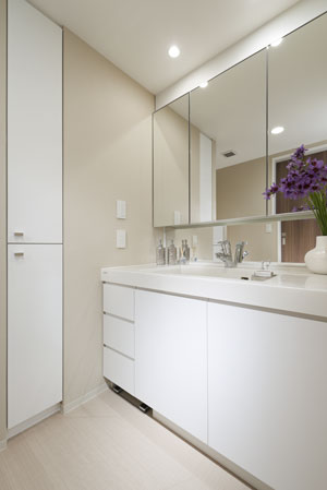 Bathing-wash room. Powder Room