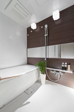 Bathing-wash room. Bathroom