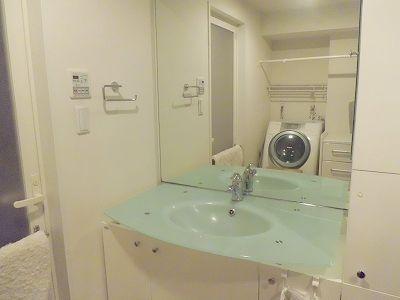 Wash basin, toilet. Bathroom vanity