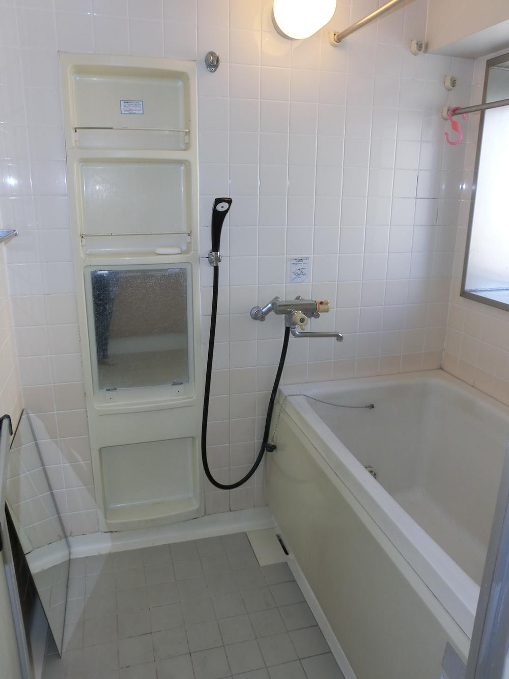 Bathroom. Window to unusual bath in the apartment