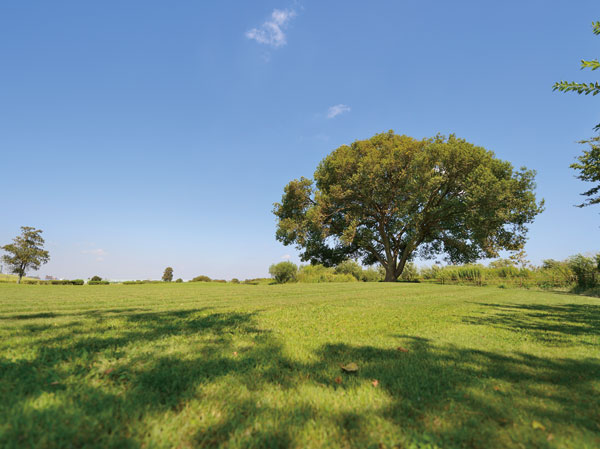 Surrounding environment. Shibamata park (about 1840m ・ 23 minutes walk)