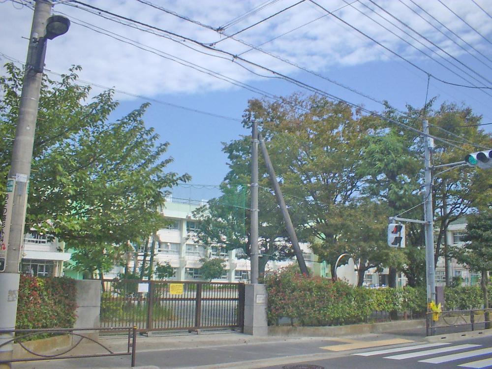 Primary school. Surrounding environment