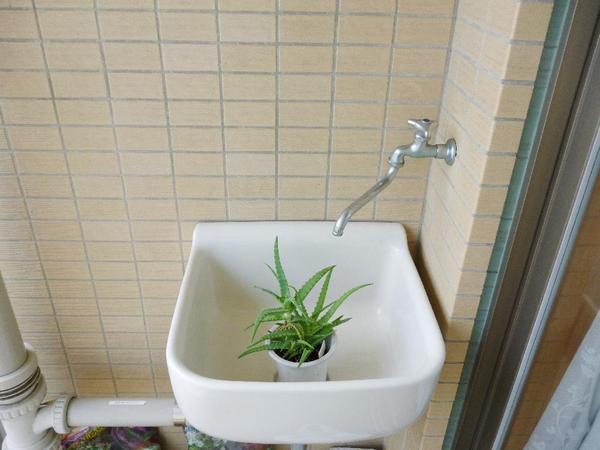 Balcony. Gardening sink has been installed in the south-east side balcony