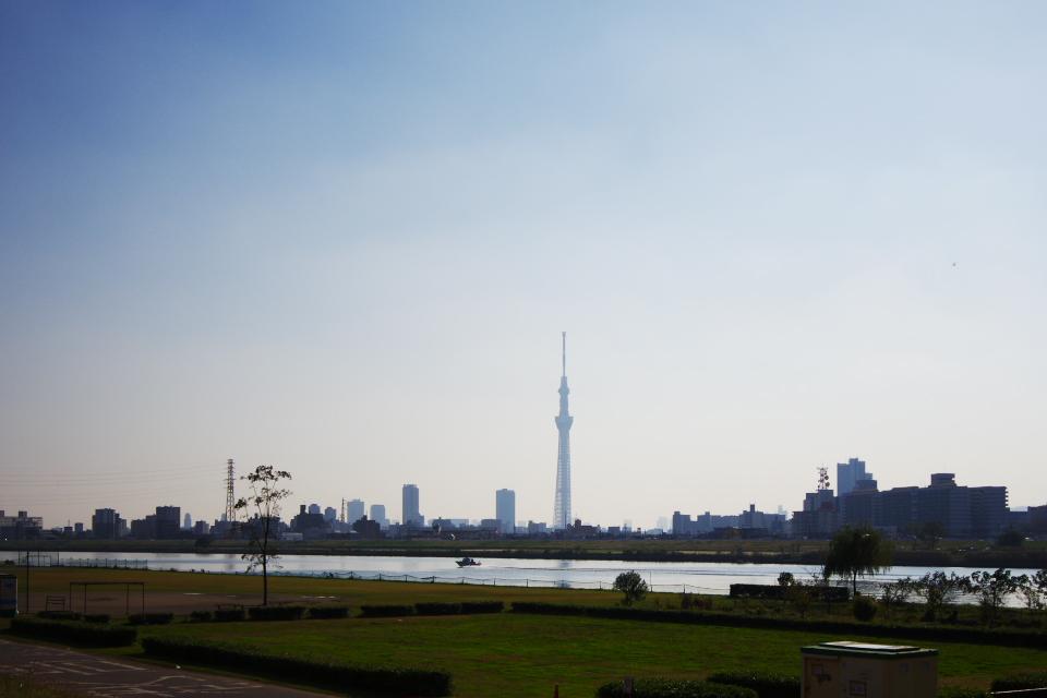 Other. Surrounding environment (Arakawa bank)