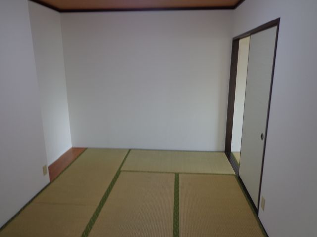 Living and room. Tatami