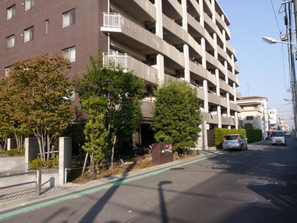 Local appearance photo. Local (11 May 2013) Shooting