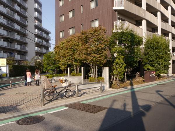 Local appearance photo. Local (11 May 2013) Shooting