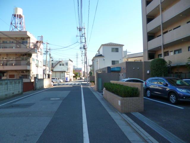 Other. Mansion before the environment