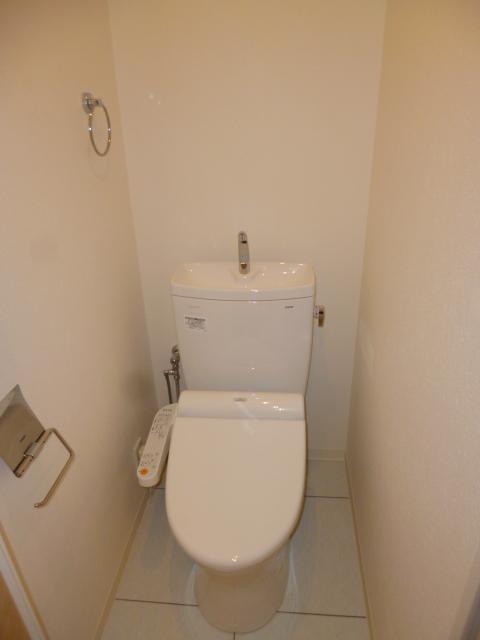 Toilet. Shower toilet