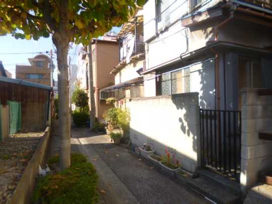 Local land photo. From the south side road