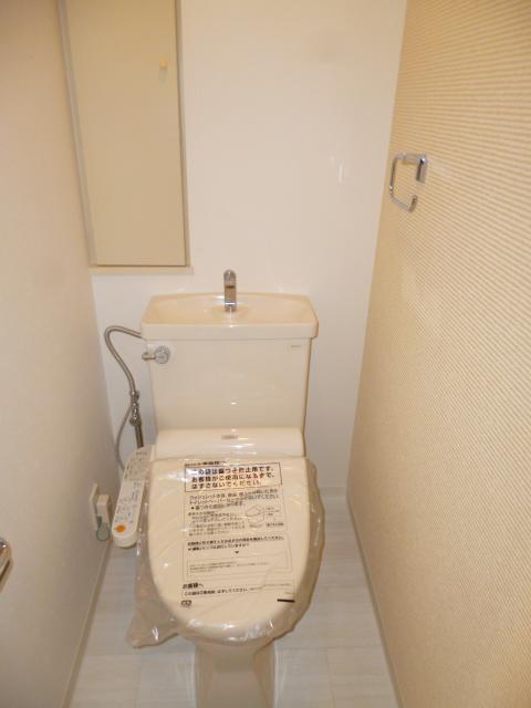 Toilet. Shower toilet