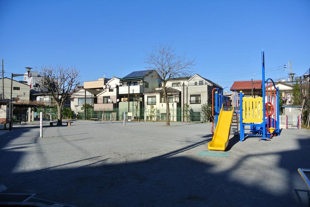 Other. Swan South Park